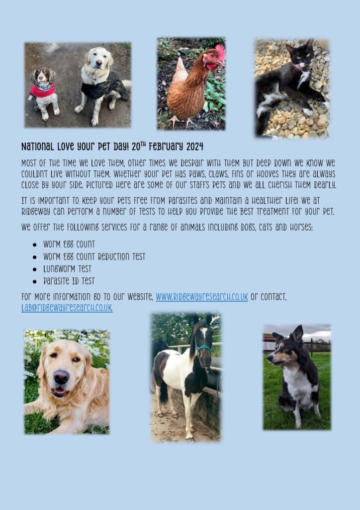 National Love Your Pet Day - 20th February, 2024